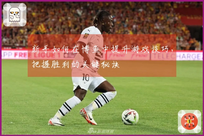 新手如何在博鱼中提升游戏技巧，把握胜利的关键秘诀